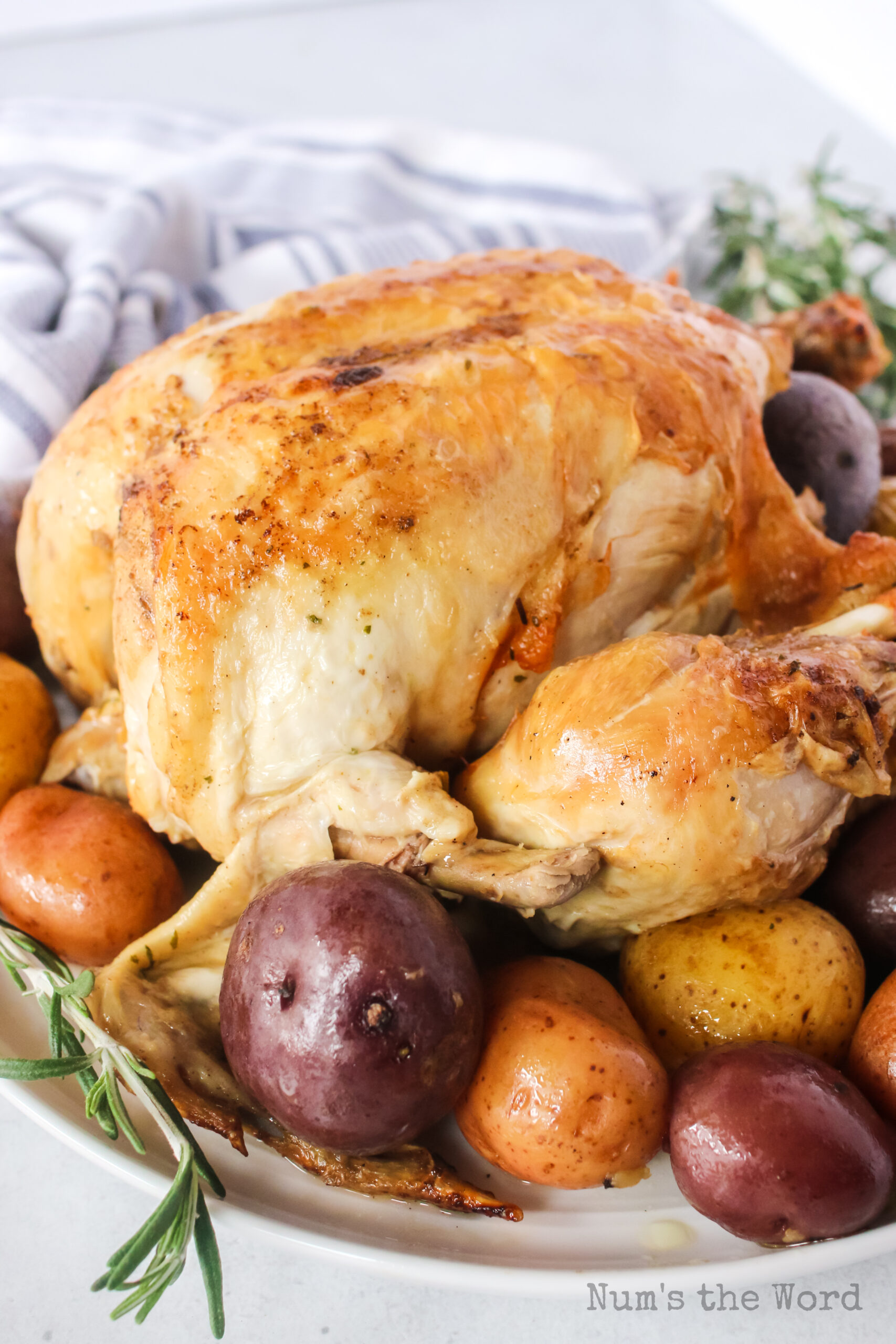 side view of roast chicken on a platter with roast potatoes