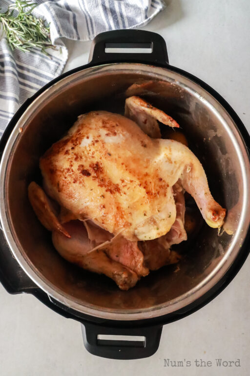 Instant Pot Roast Chicken - Num's the Word