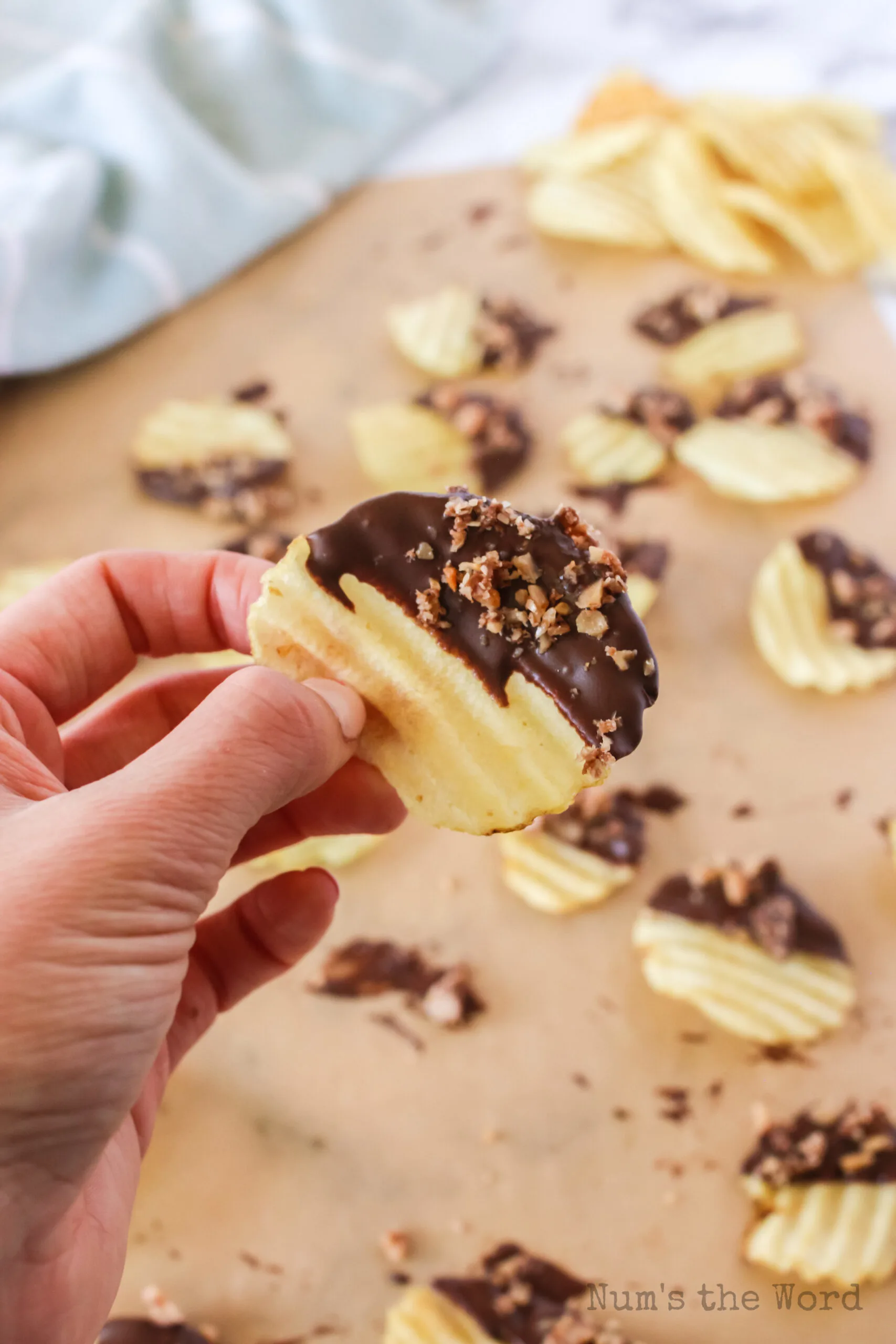 hand holding chocolate potato chip with crushed