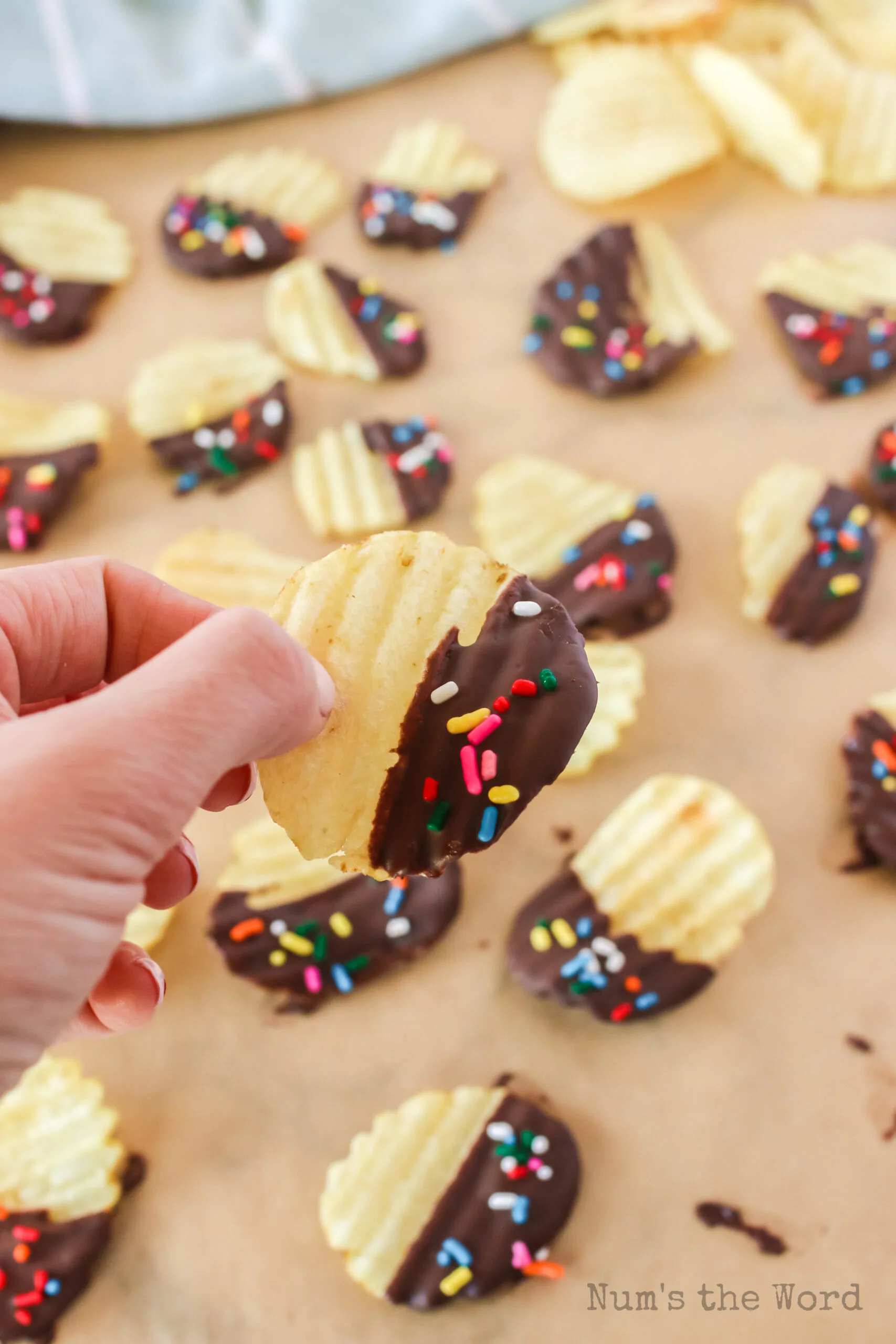 hand holding a potato chip with colored sprinkles.