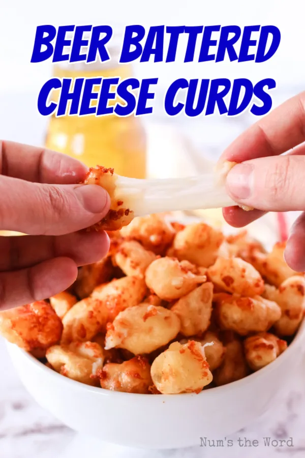 main image of cheese curds in a bowl for recipe