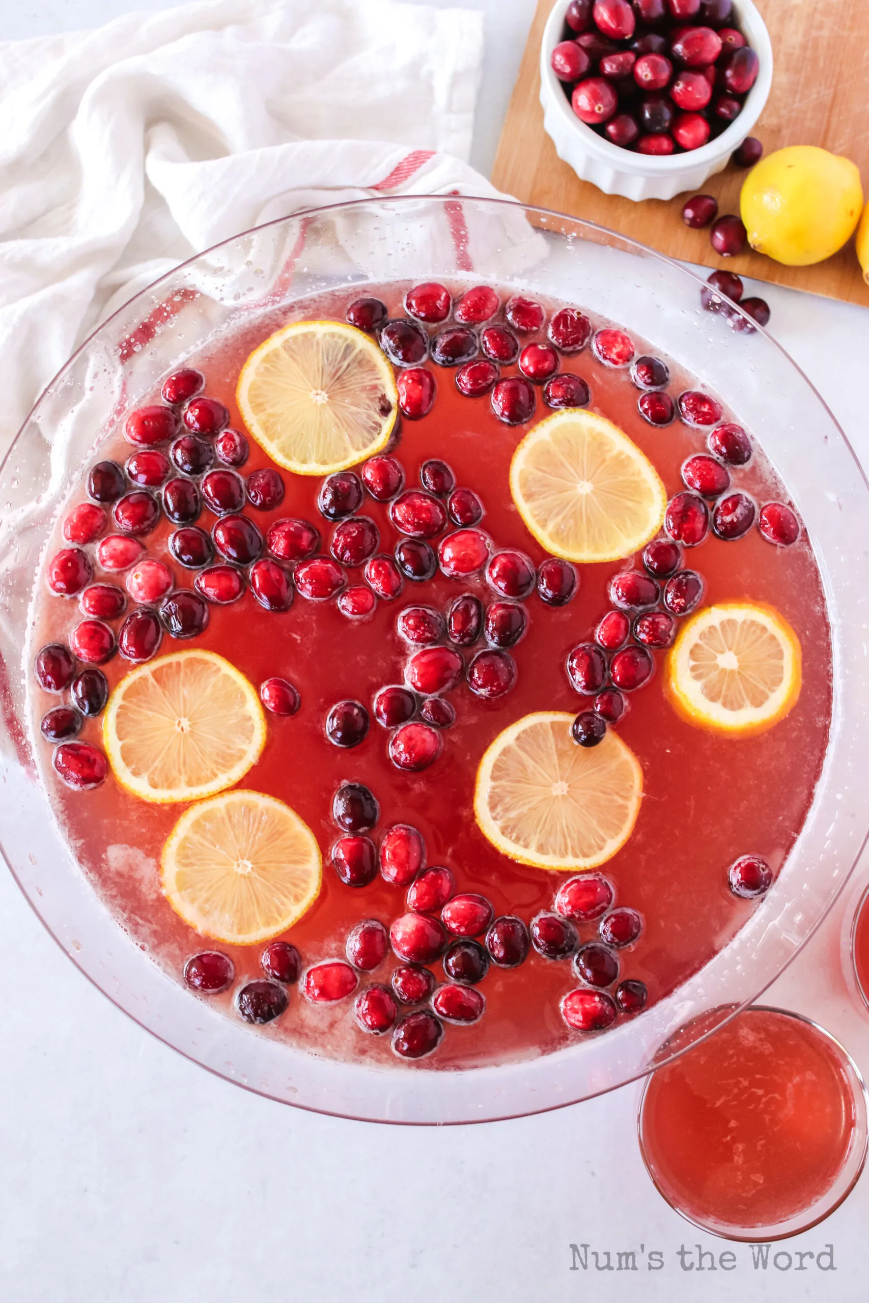 cranberry punch with fresh cranberries and lemon slices
