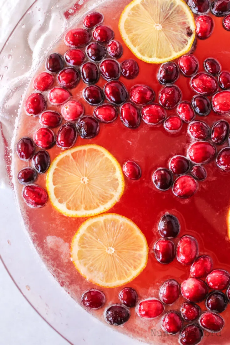 https://numstheword.com/wp-content/uploads/2022/08/cranberry-juice-punch-scaled-735x1102.jpg.webp