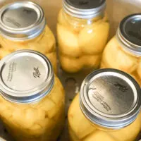 5 quart jars of potatoes in canner, after canning