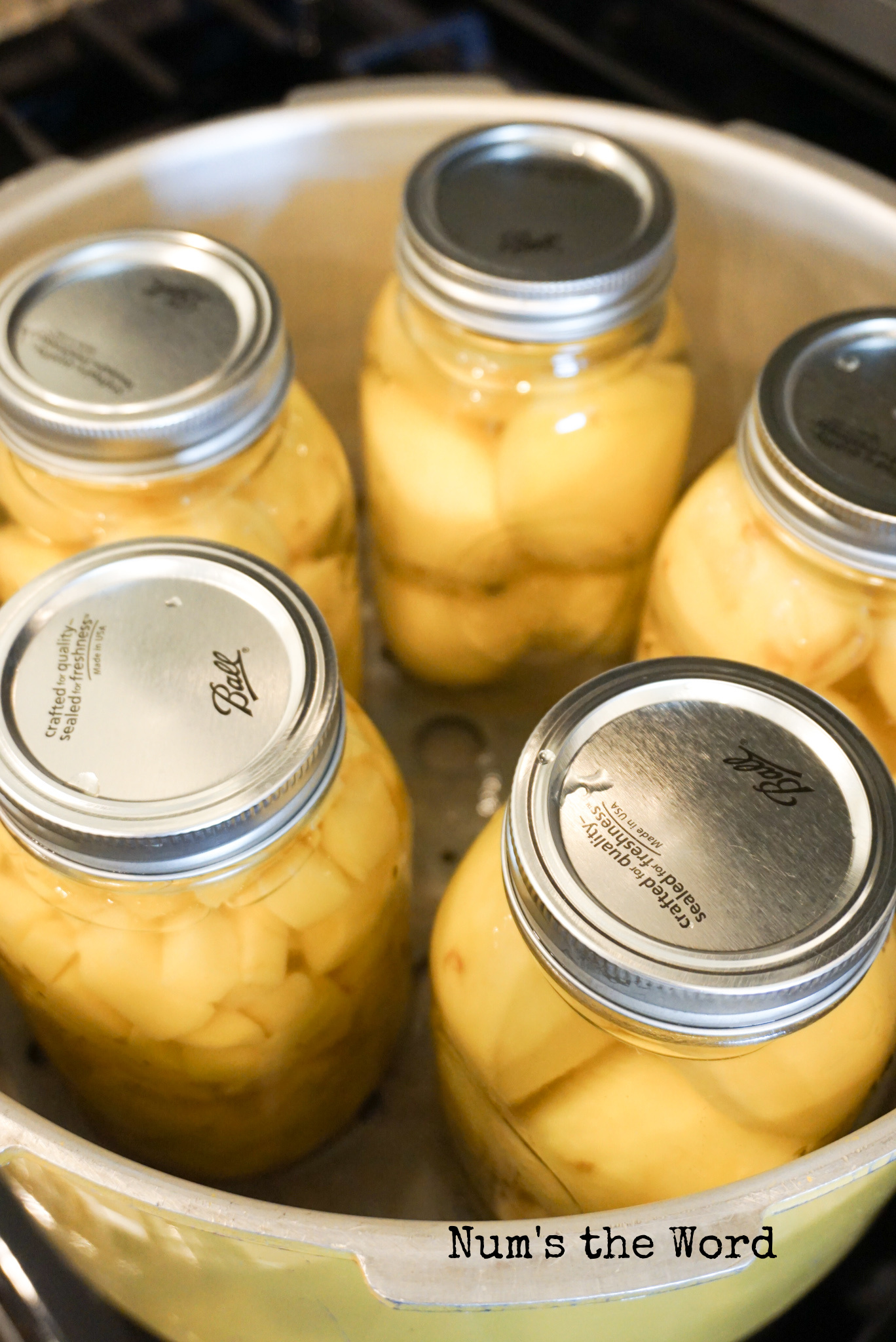 5 quart jars of potatoes in canner, after canning