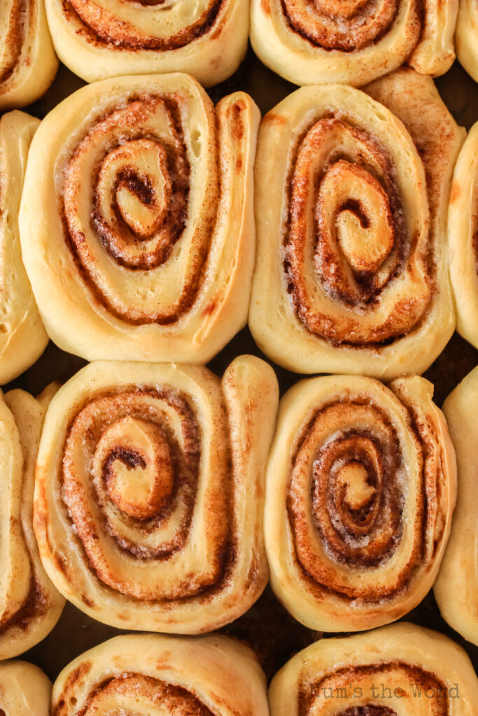Homemade Cinnamon Rolls Num s The Word homemade-cinnamon-rolls-num-s-the-word