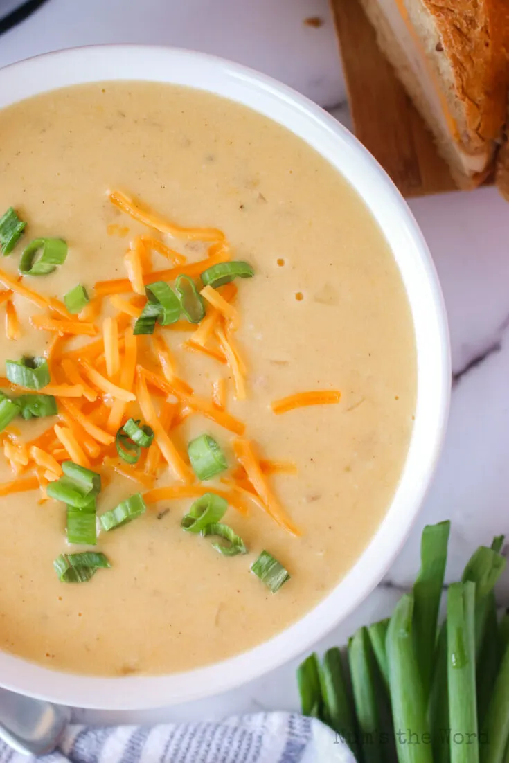 zoomed in image of onion soup in a bowl with a garnish of cheese and onions