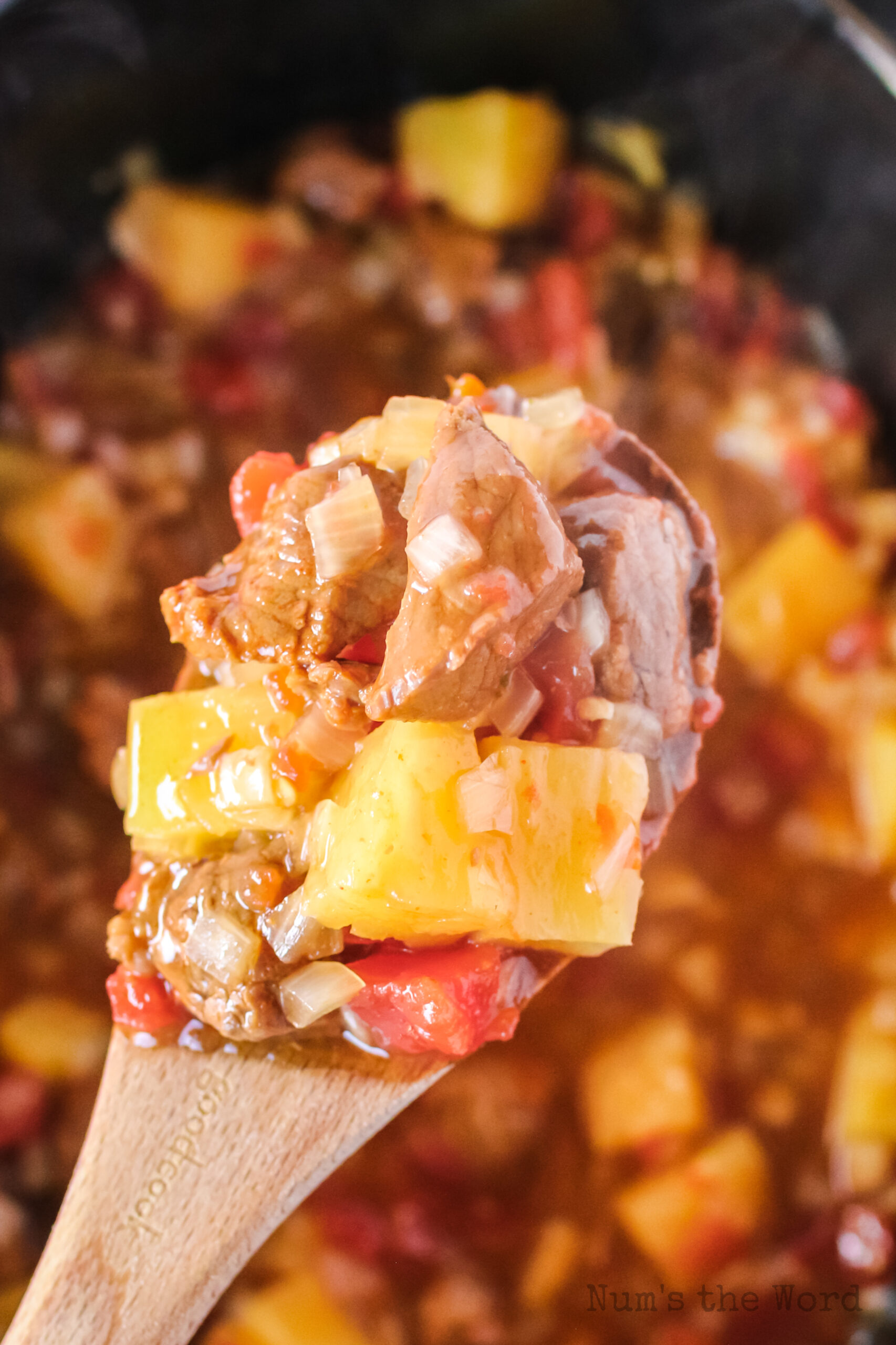 wooden spoon held close to camera lens showing off yummy beef and pineapple