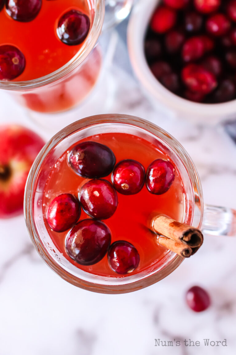 Slow Cooker Cranberry Apple Cider Num's the Word