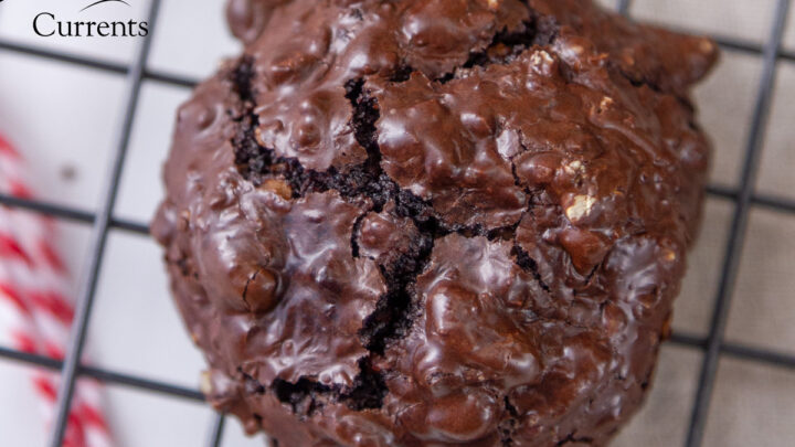 Image for Flourless Chocolate Pecan Cookies