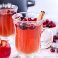 side view of cranberry cider with cranberries and cinnamon stick.