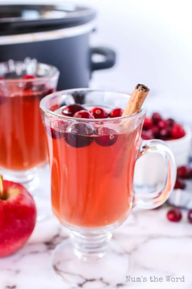 side view of cranberry cider with cranberries and cinnamon stick.