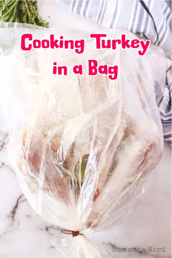 How to Cook a Turkey with an Oven Bag: Quick and Easy!