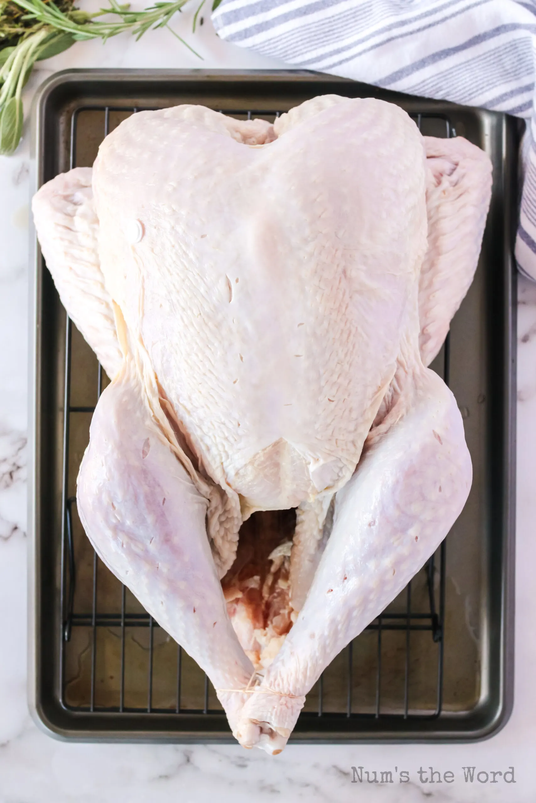 cleaned bird on a rack on a cookie sheet