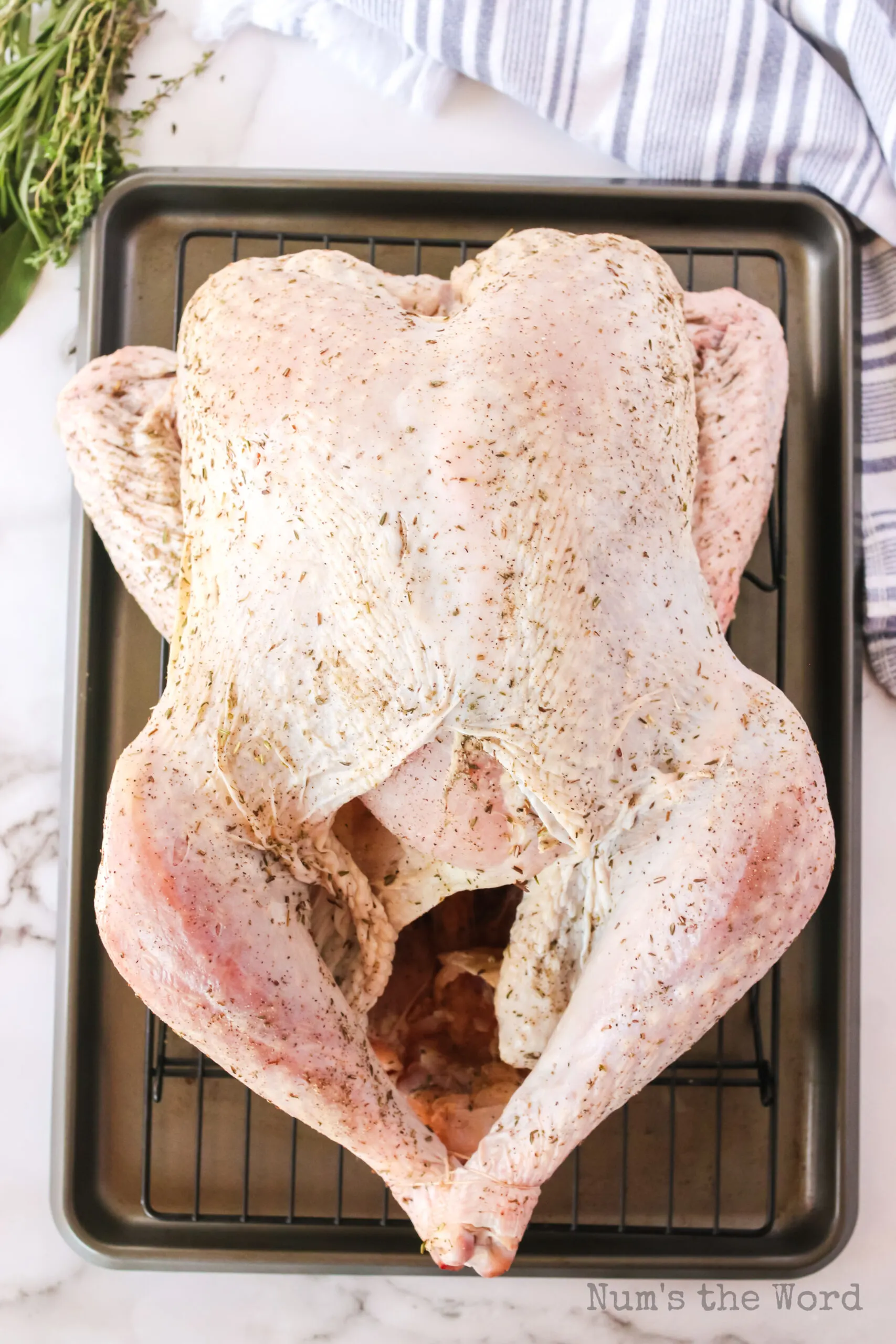 Cooking Turkey in a Bag - Num's the Word