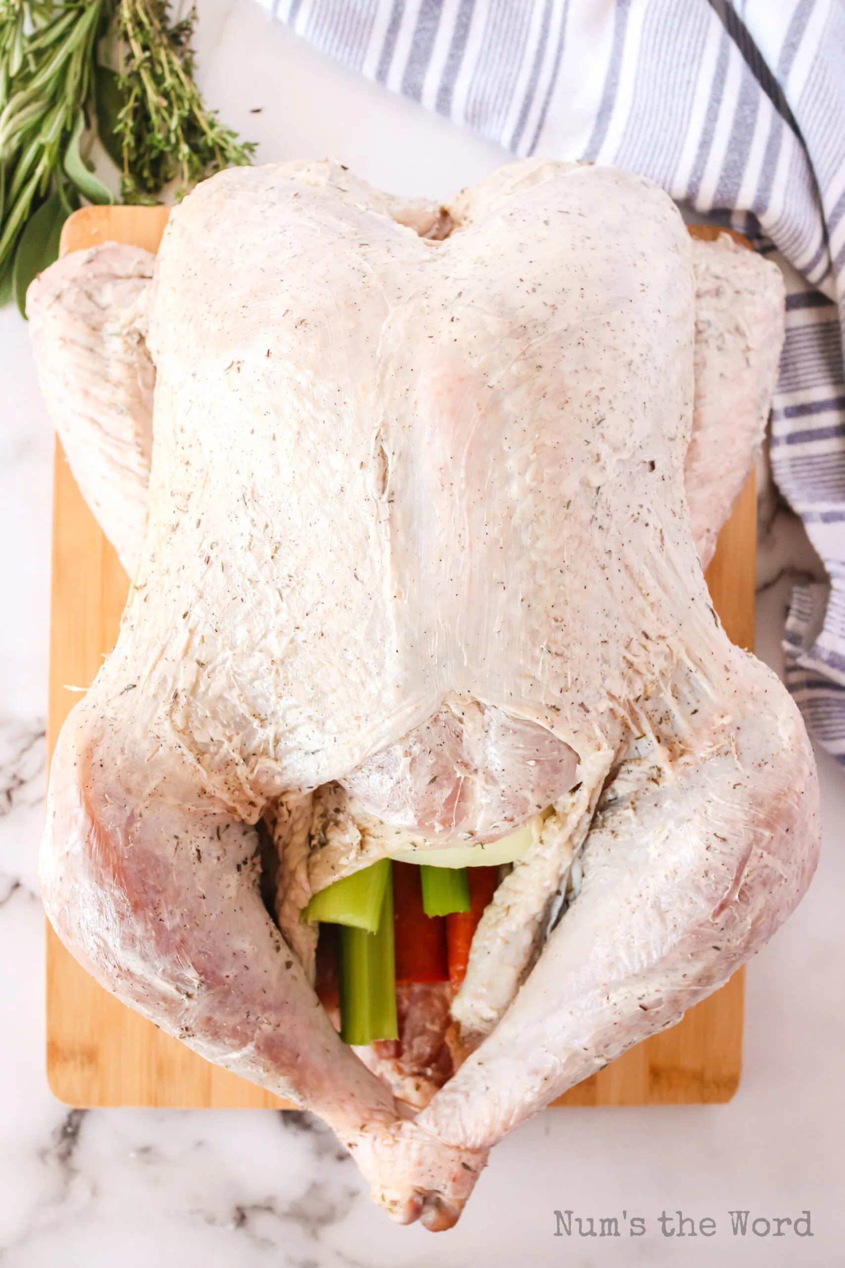 Cooking Turkey in a Bag - Num's the Word