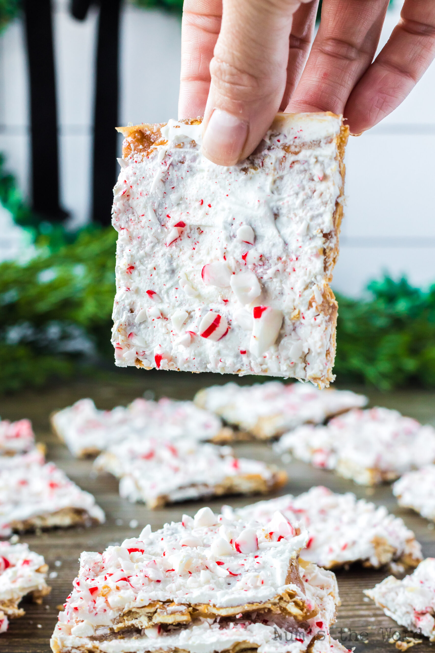 hand holding up a square of peppermint christmas crack