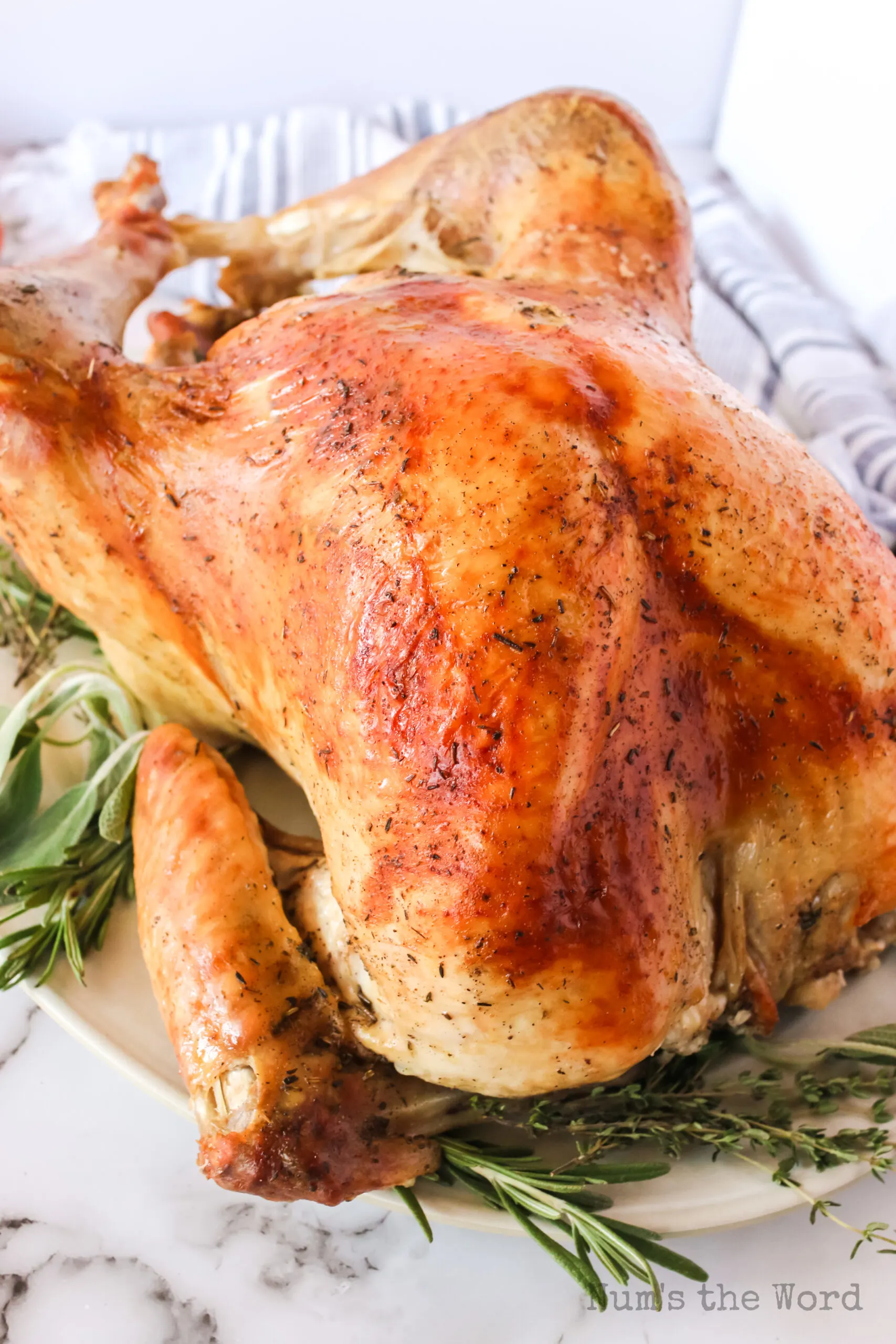 top side view of turkey on platter, ready to carve