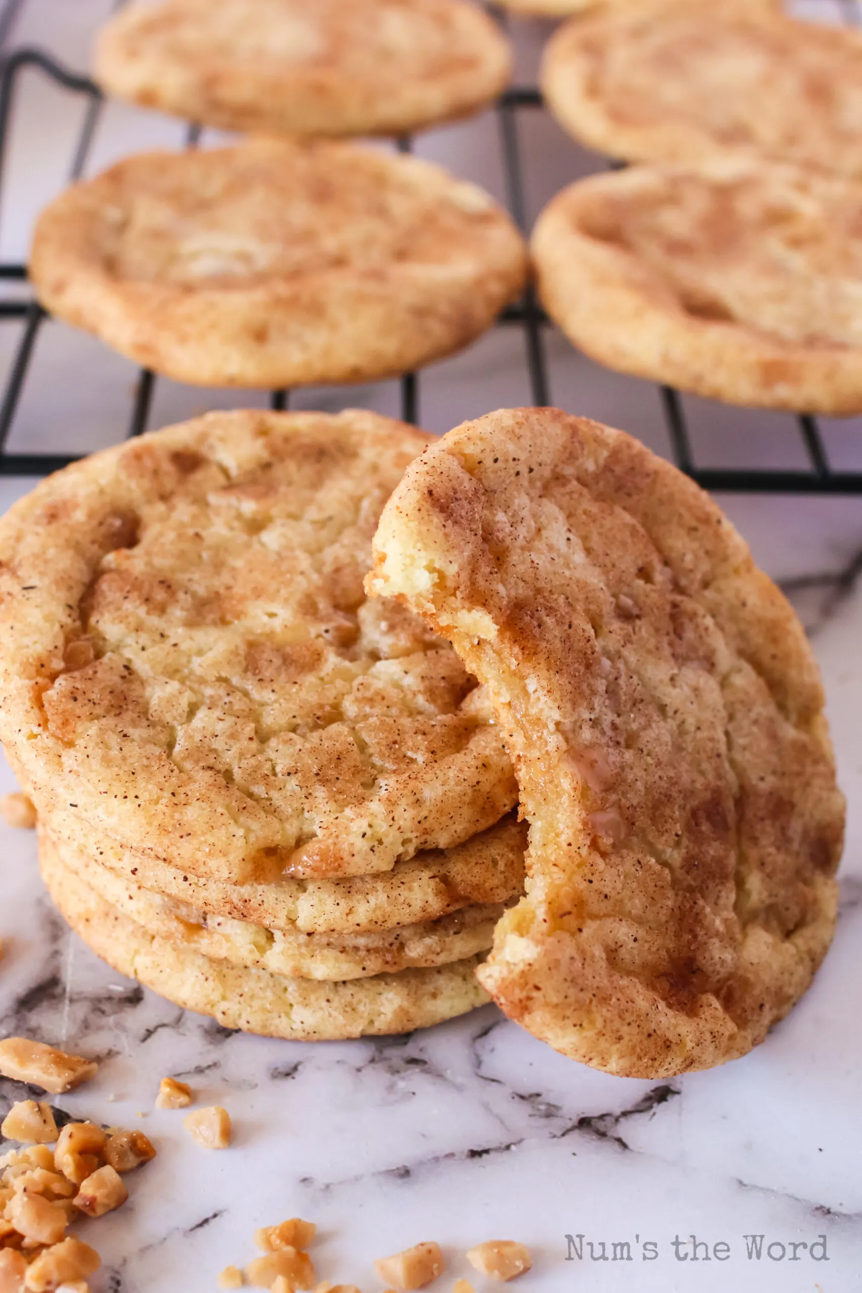 cookies stacked up with one propped on the side with a bite removed