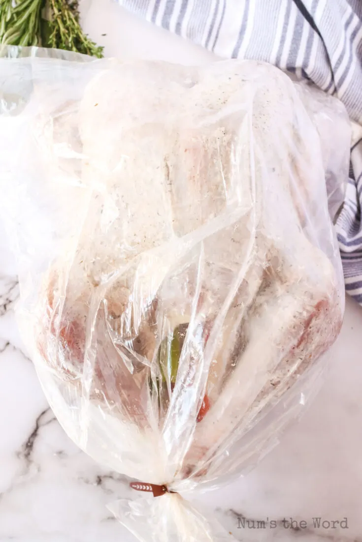 turkey placed in a bag and ready to cook