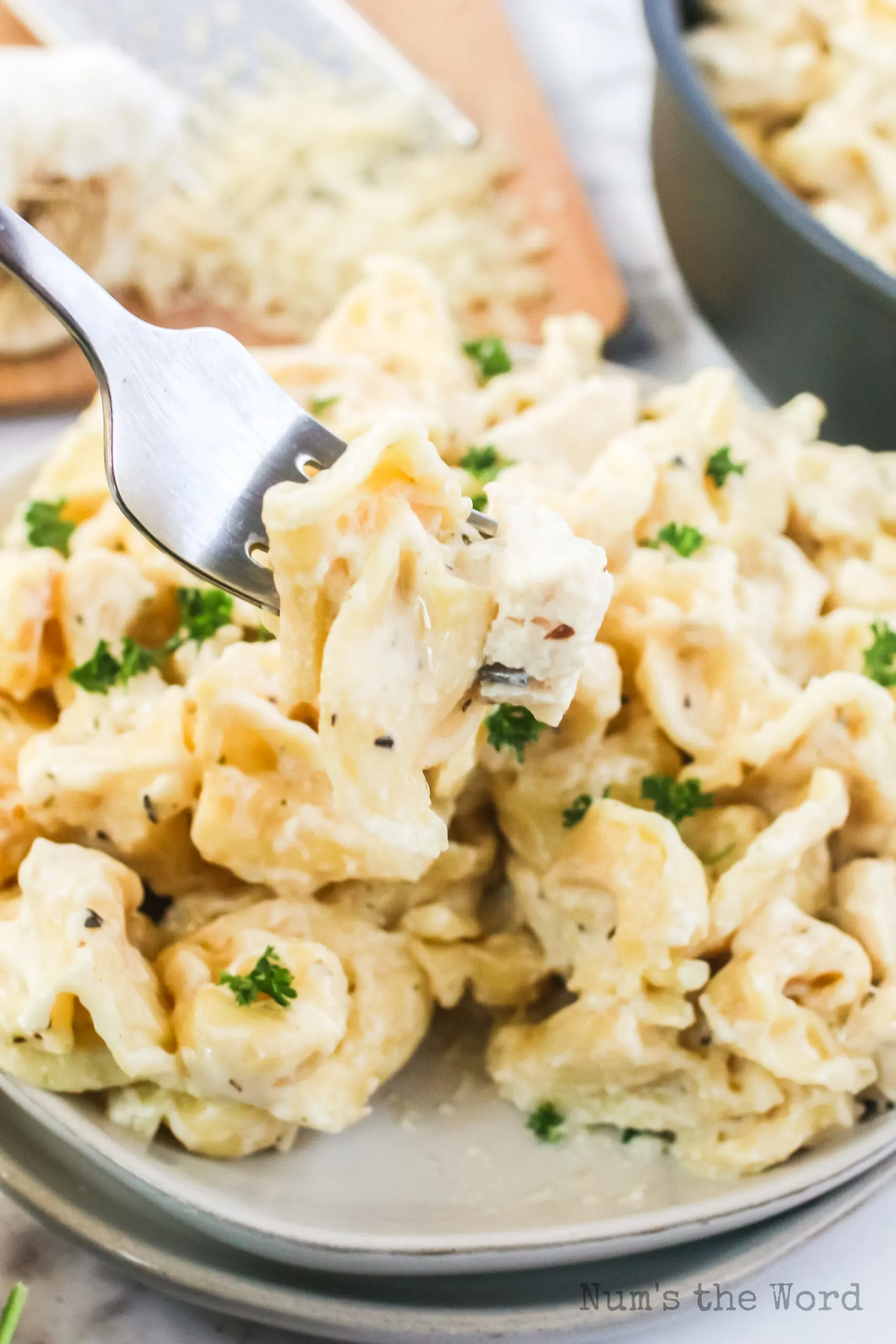 plate full of tortellini alfredo. Fork full and above plate