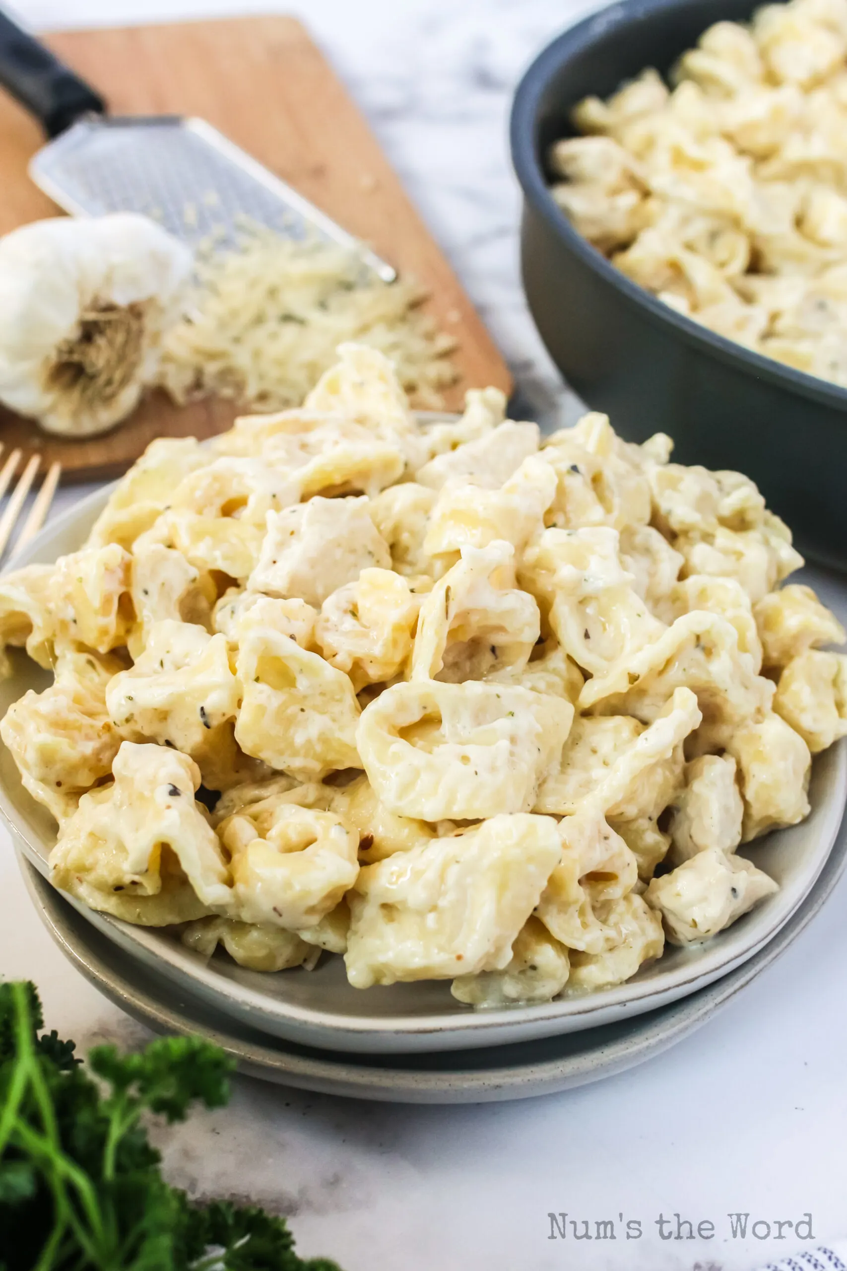 plate tortellini alfredo ready to enjoy.