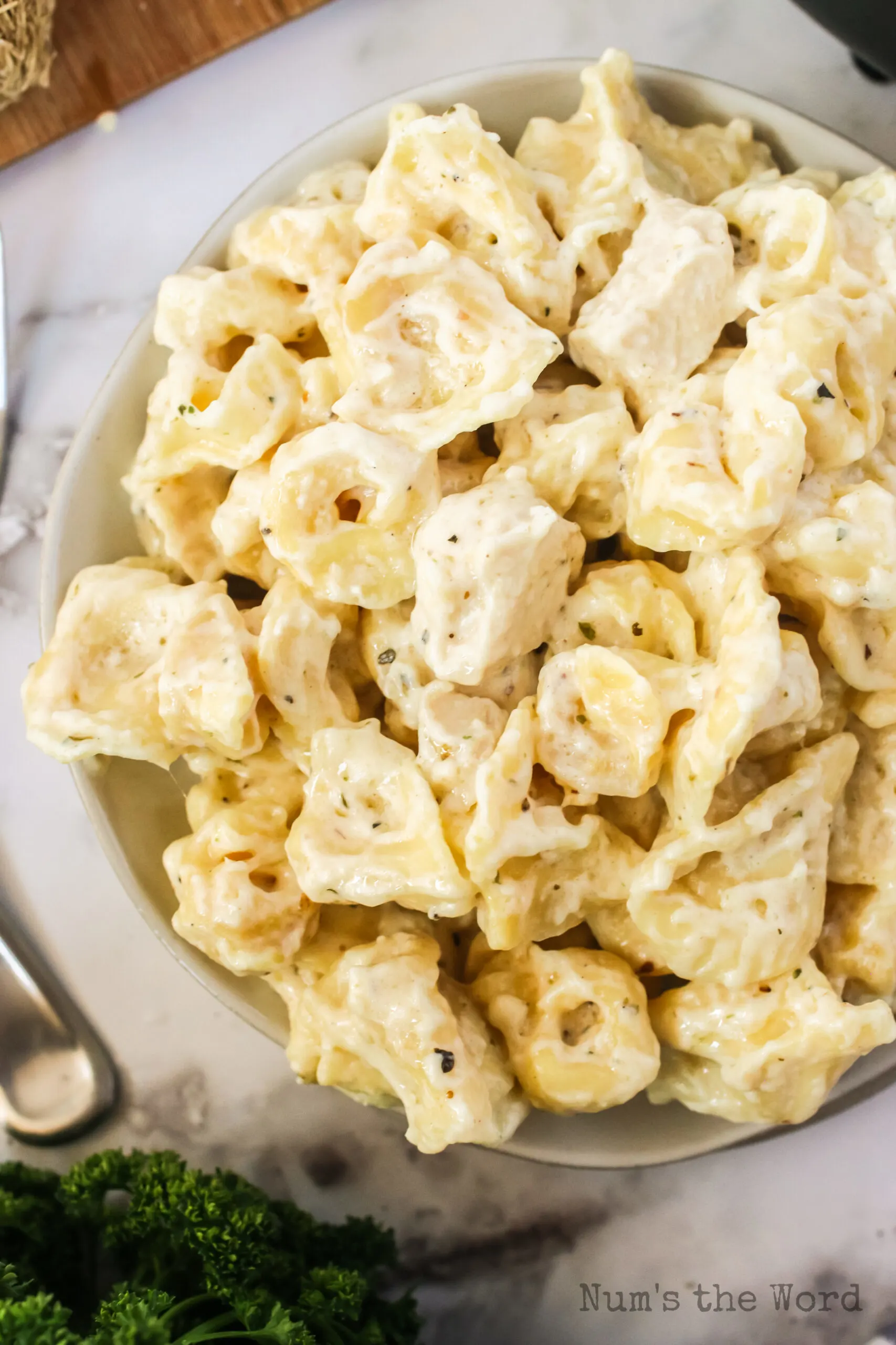 top view looking down at plate full of tortellini