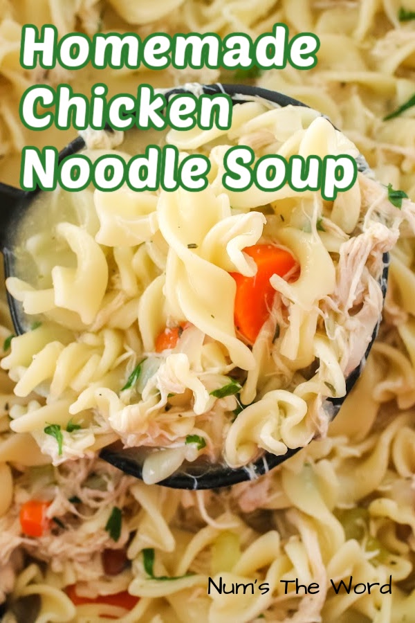 main image of homemade chicken noodle soup