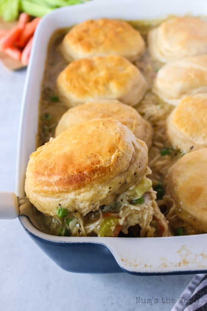 Chicken and Biscuits Casserole - Num's the Word