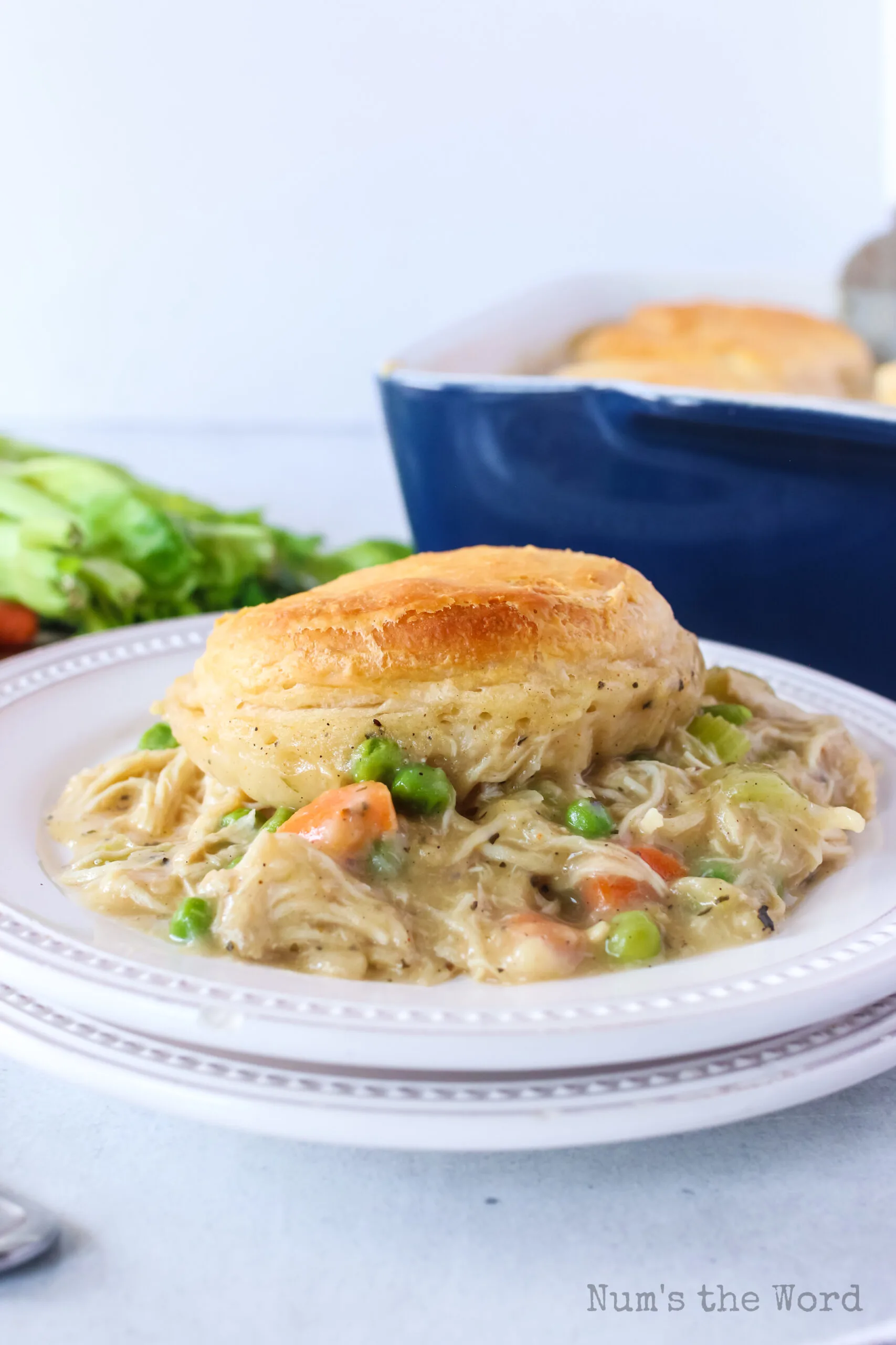 side view of chicken and biscuits casserole on a plate