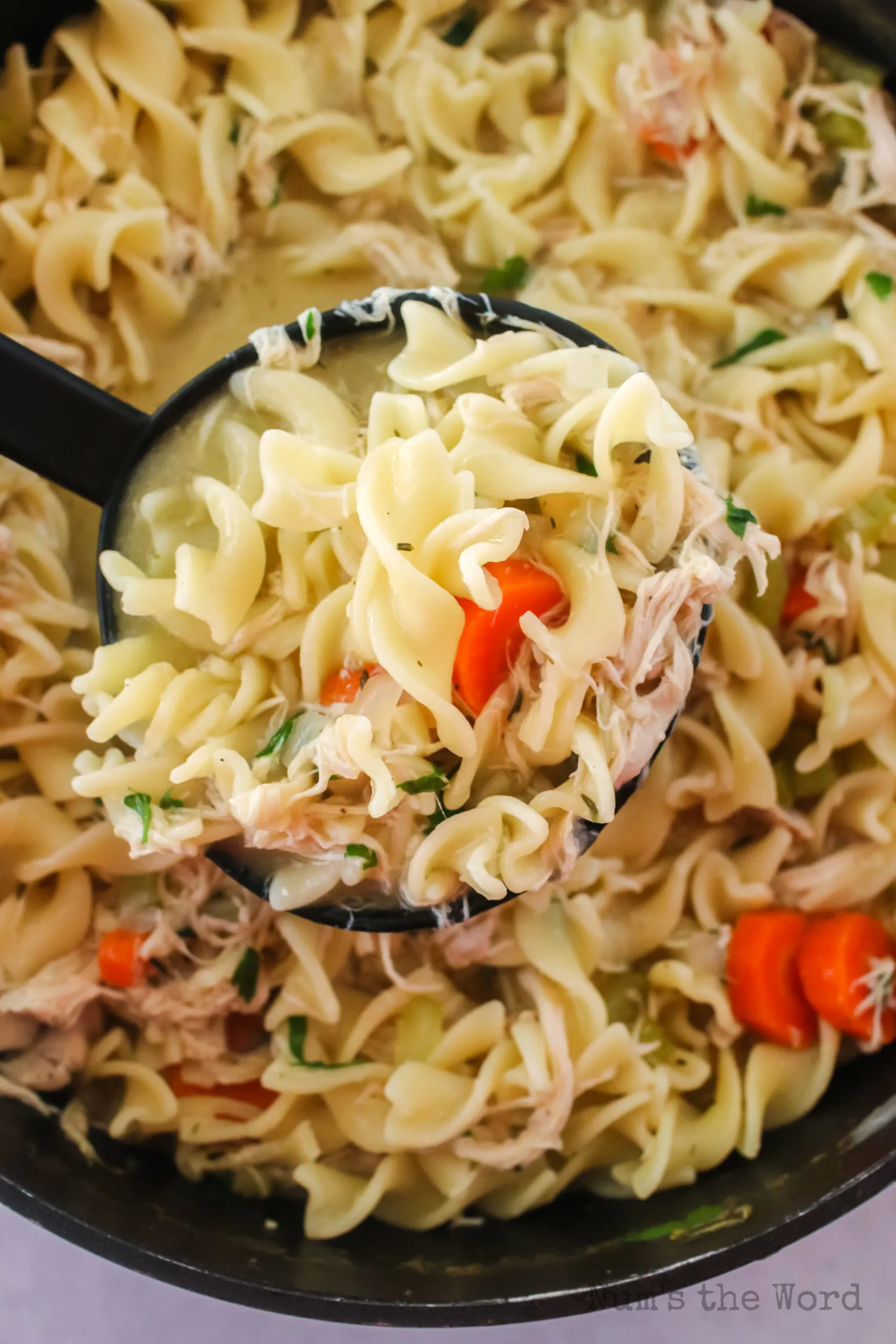 ladle scooping soup from pot