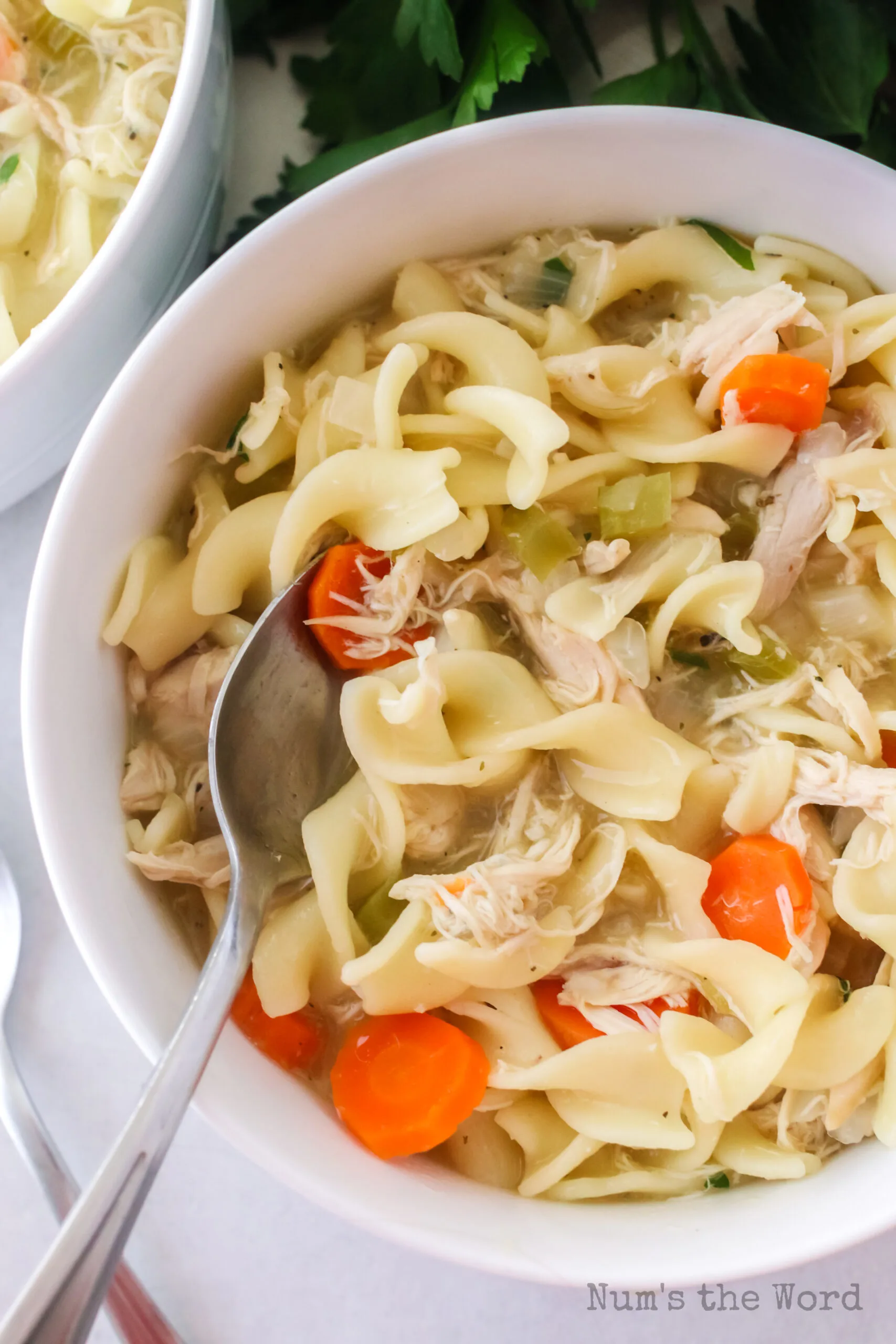 bowl of chicken noodle soup with spoon