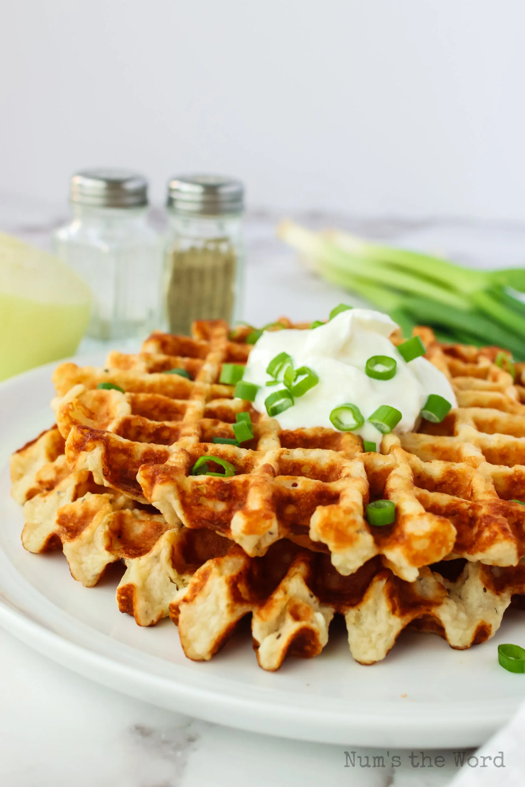 side view of savory waffles