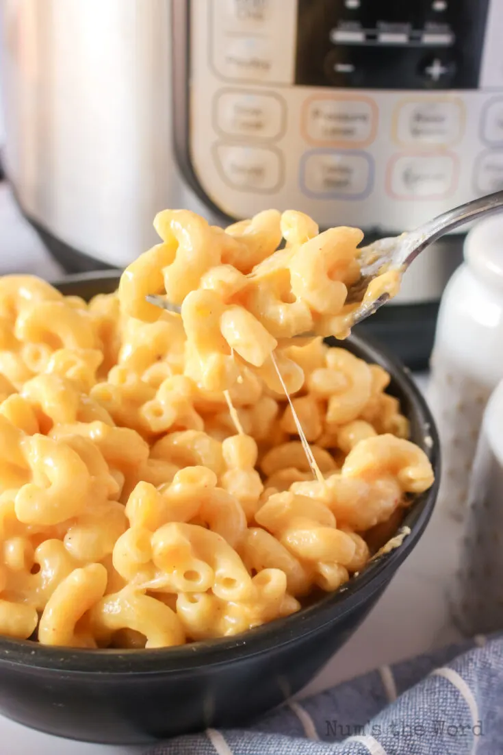 fork holding up a portion of macaroni and cheese from bowl