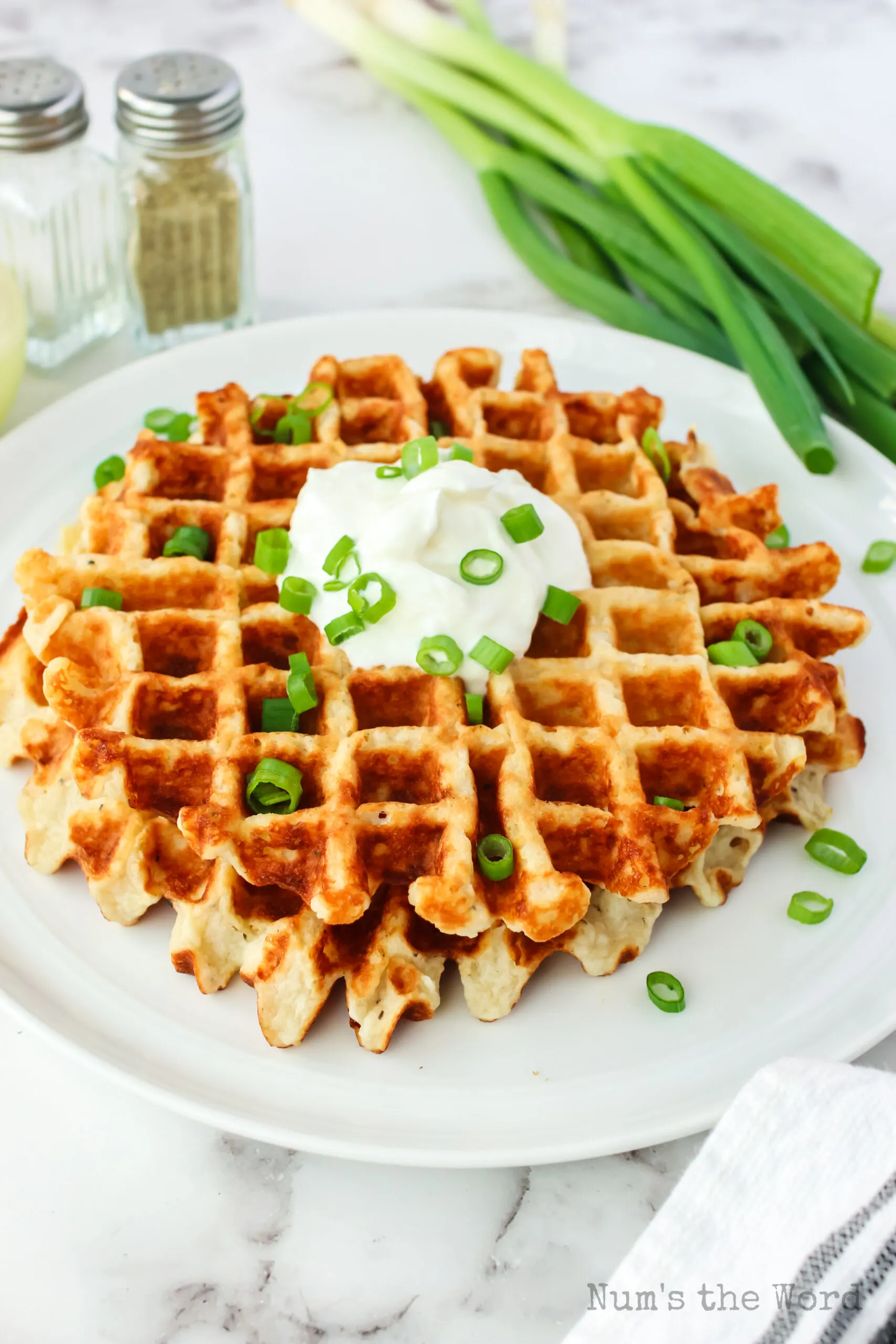 two waffles on a plate with sour cream and green onions