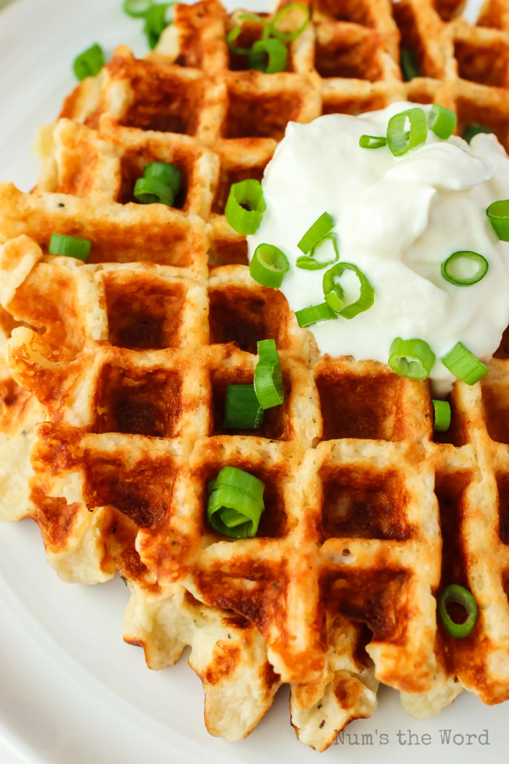 zoomed in image of potato waffles on plate