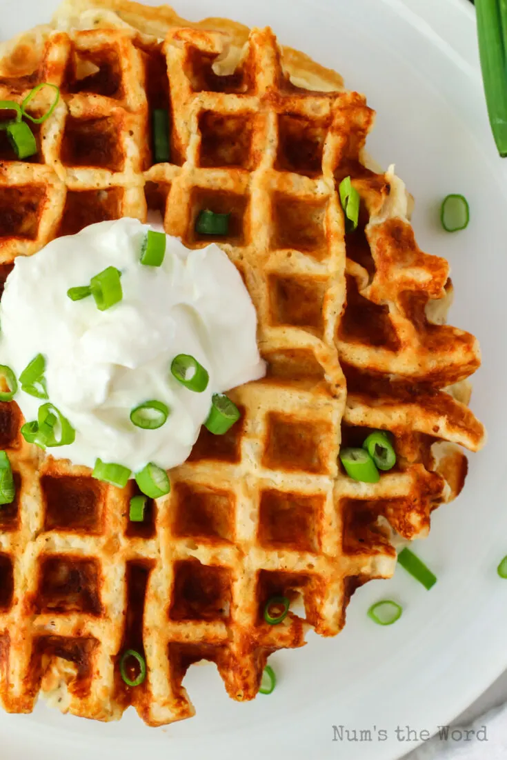 potato waffle on plate. Photo taken from the top looking down