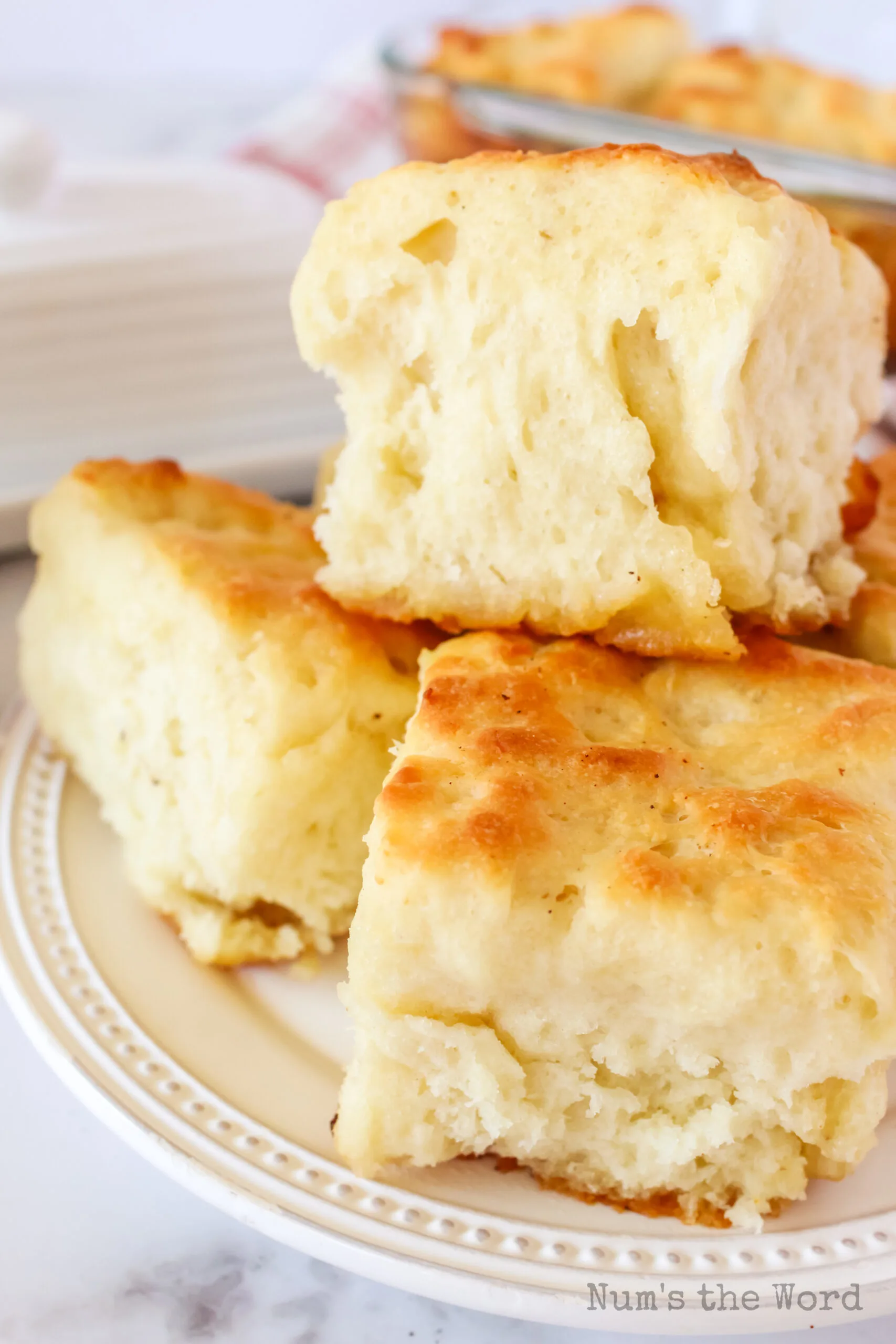 zoomed in image of biscuits on plate ready to enjoy