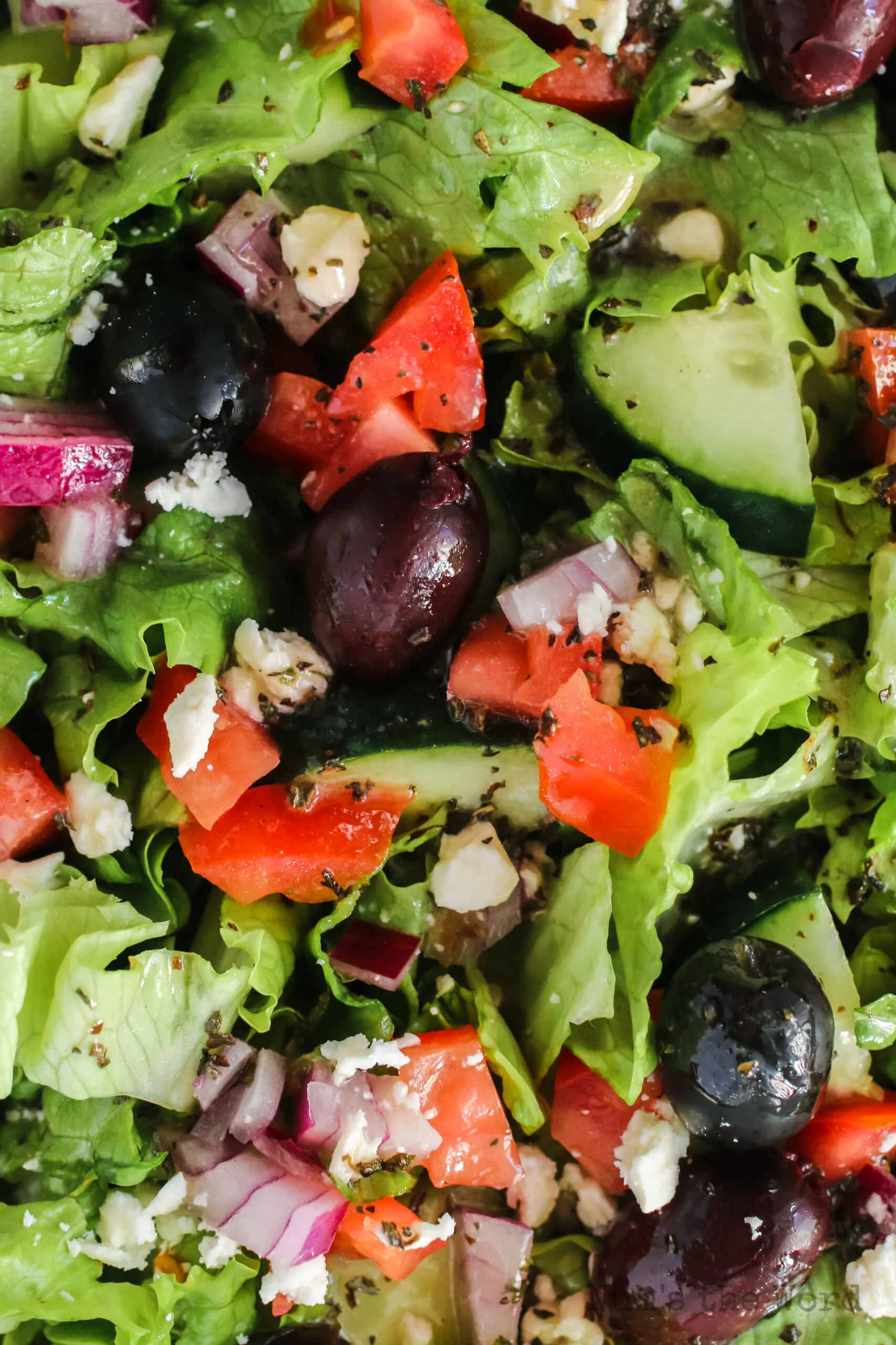 super zoomed in photo of salad tossed and ready to serve