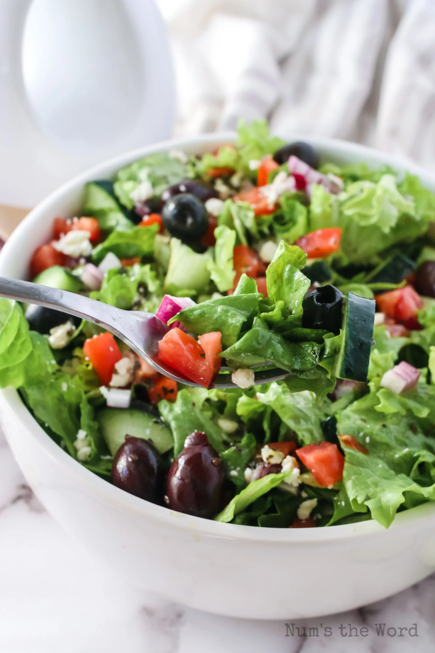 salad with a fork removing a bite