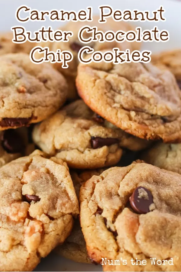 Main image for Caramel Peanut Butter Chocolate Chip Cookies
