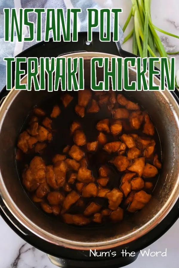Main image of Instant Pot Teriyaki Chicken