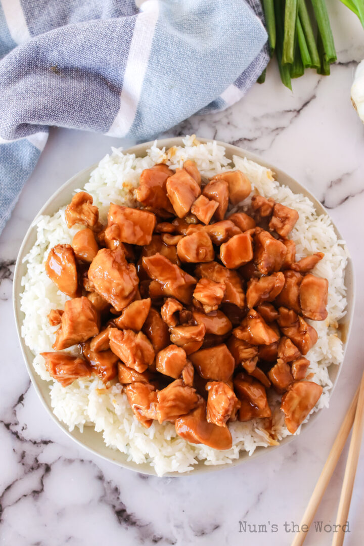 Instant Pot Teriyaki Chicken Num's the Word