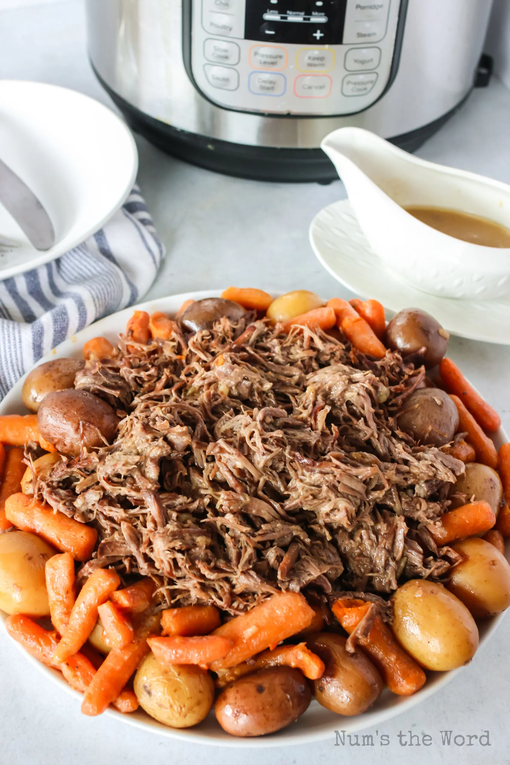 Instant pot pot roast onion online soup mix and cream of mushroom