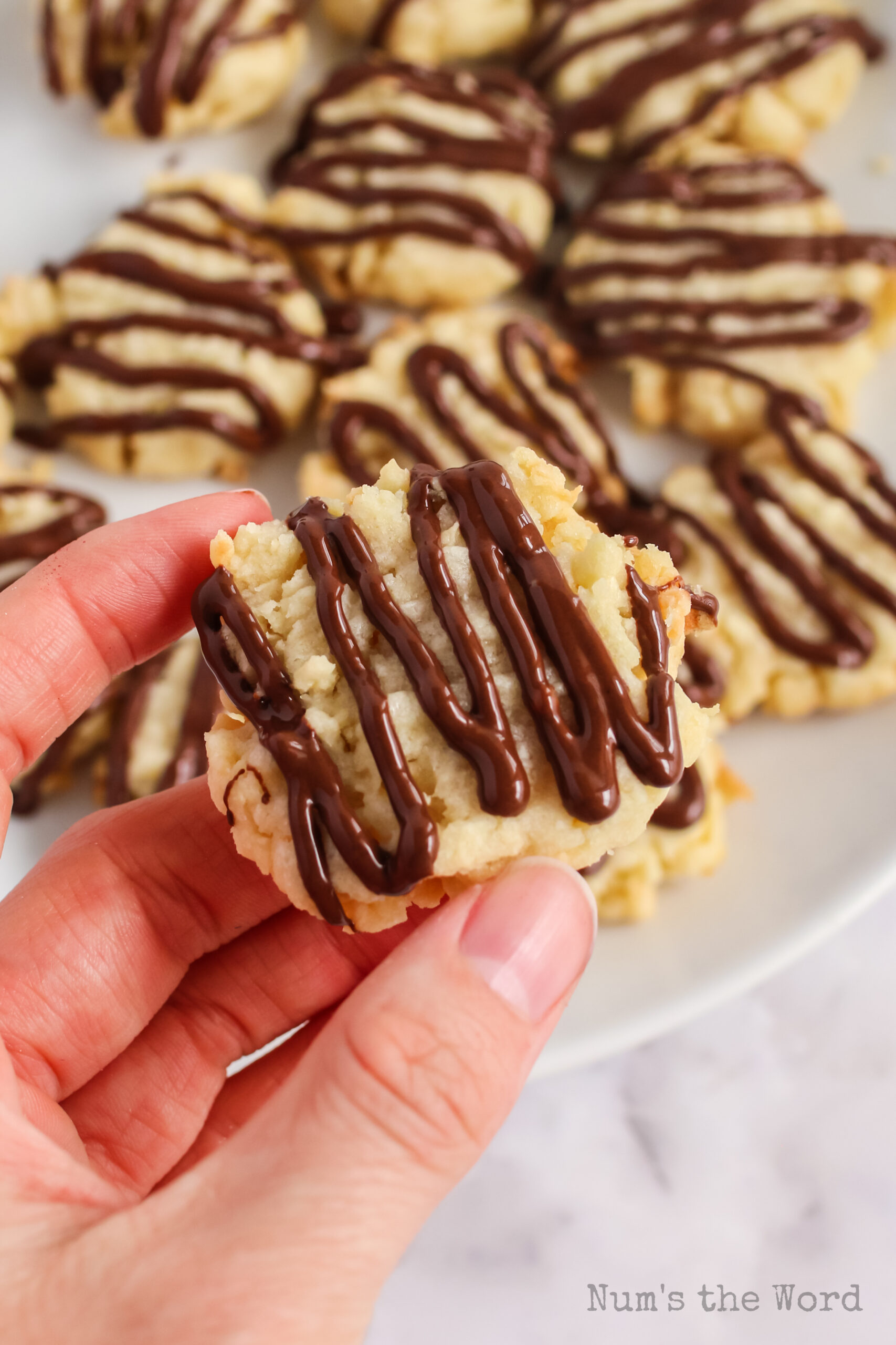 hand holding a cookie with a drizzle of chocolate on top