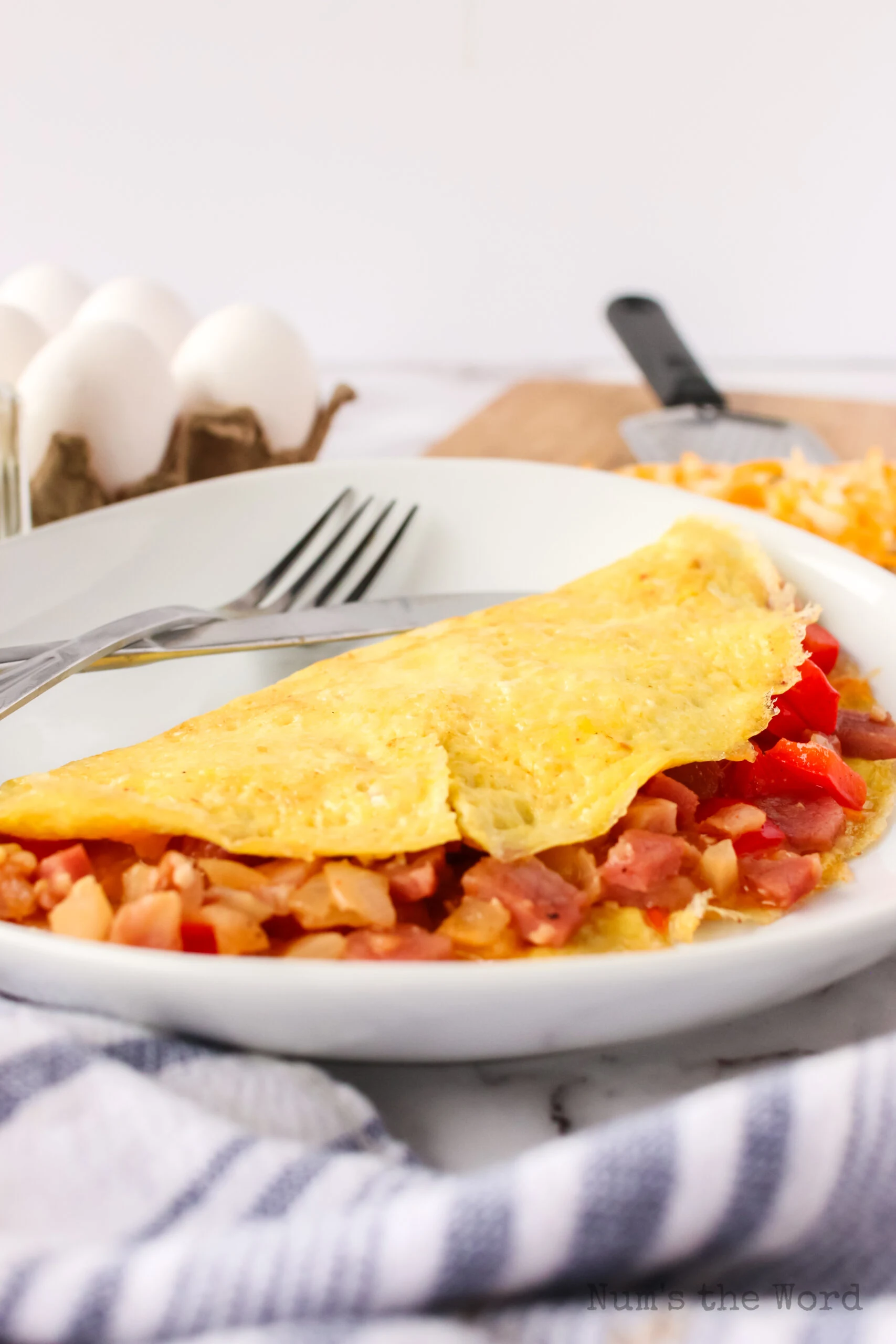 side view of denver omelet on plate