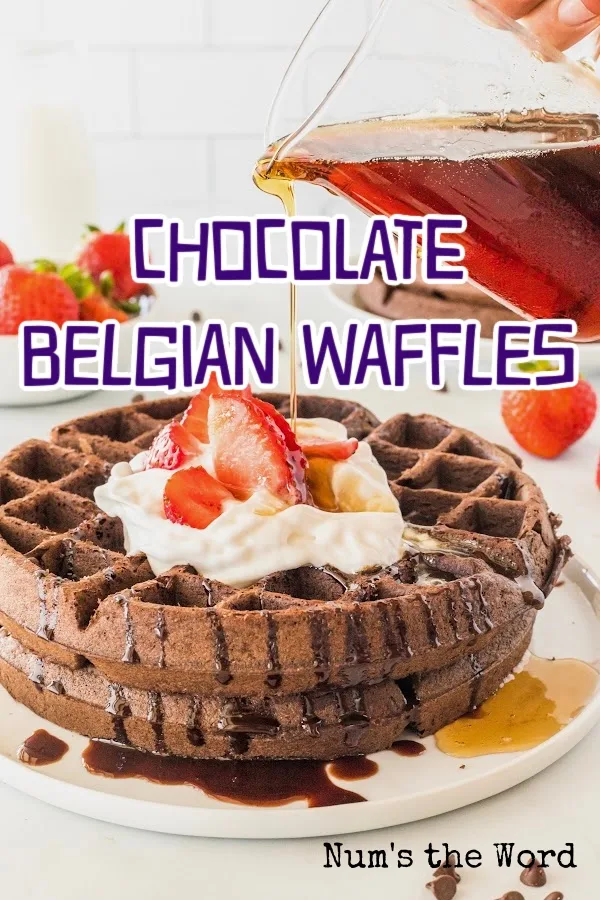 Ultimate Chocolate Belgian Waffle