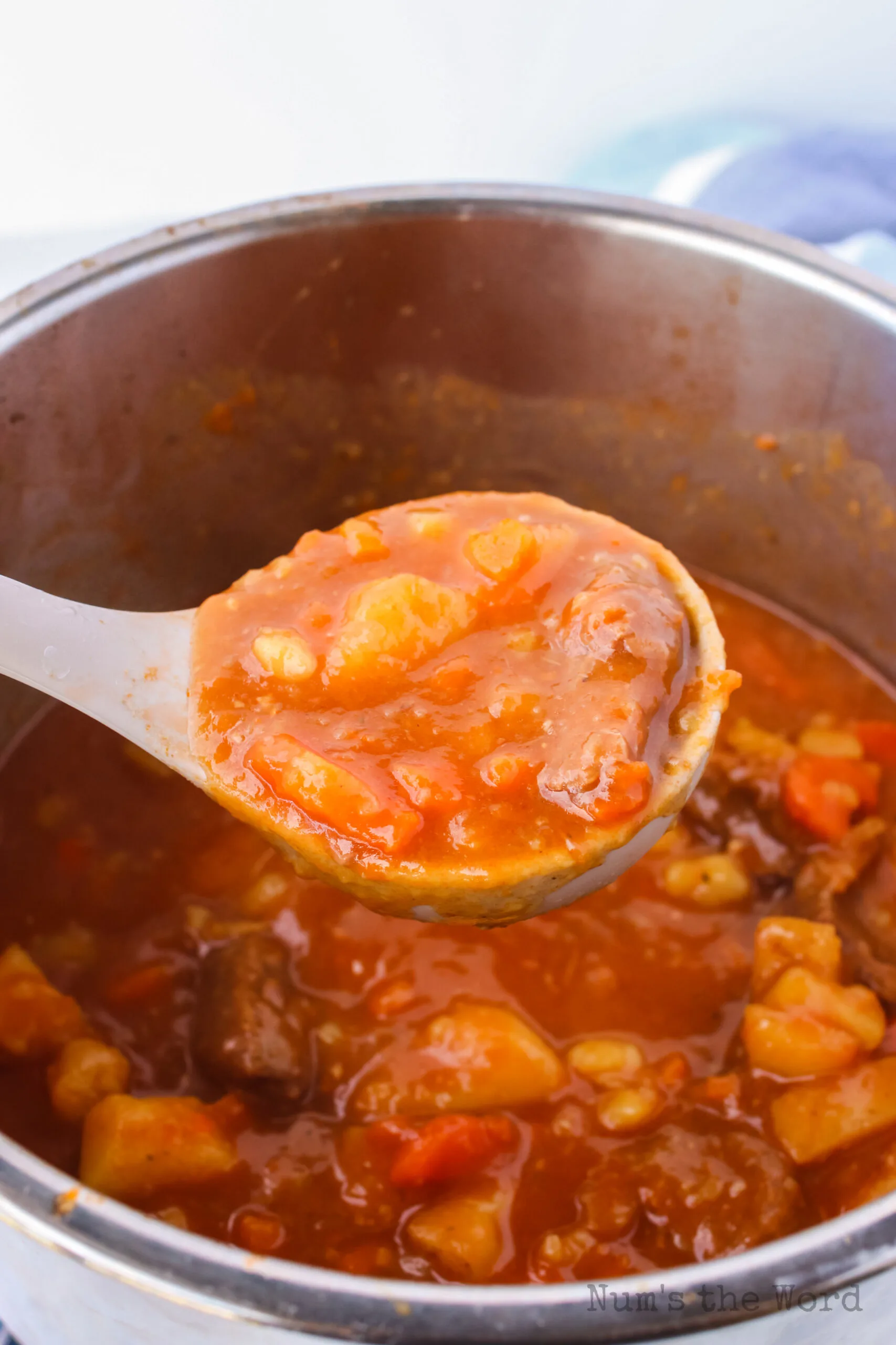 ladle scooping out a portion of beef stew from instant pot