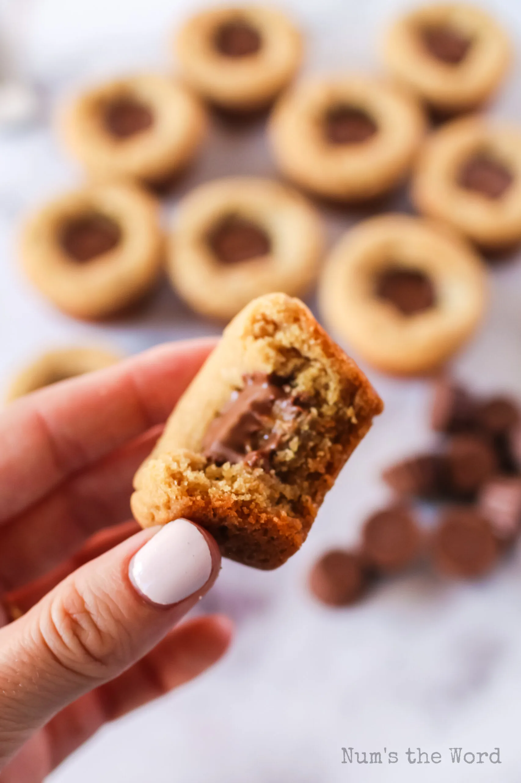 hand holding a peanut butter cup cookie with a bite removed