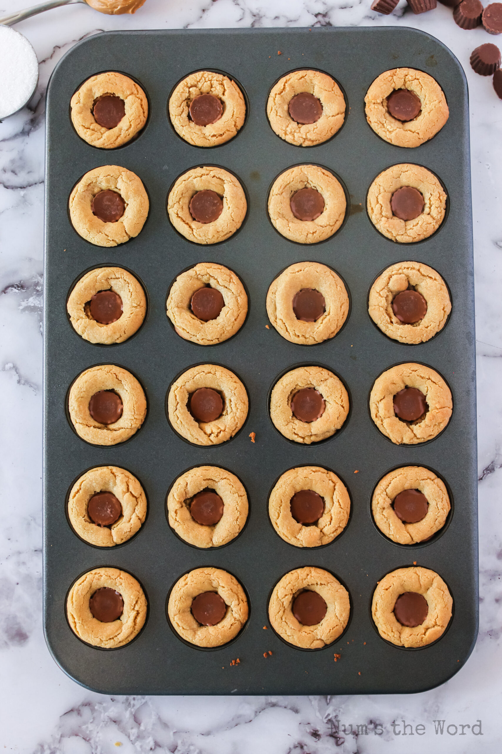 A mini peanut butter cup pressed into baked peanut butter cookies